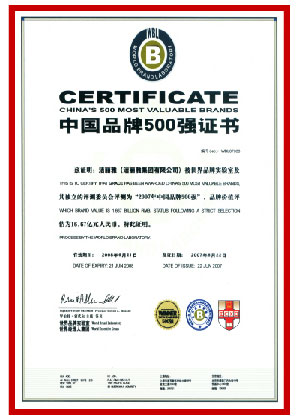 中國500最具價(jià)值品牌